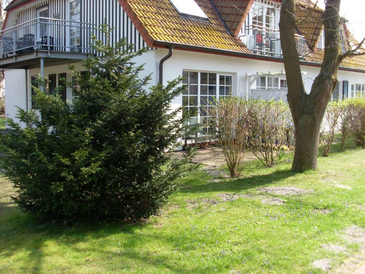 Ferienwohnung Muehlenstr. פרראו מראה חיצוני תמונה